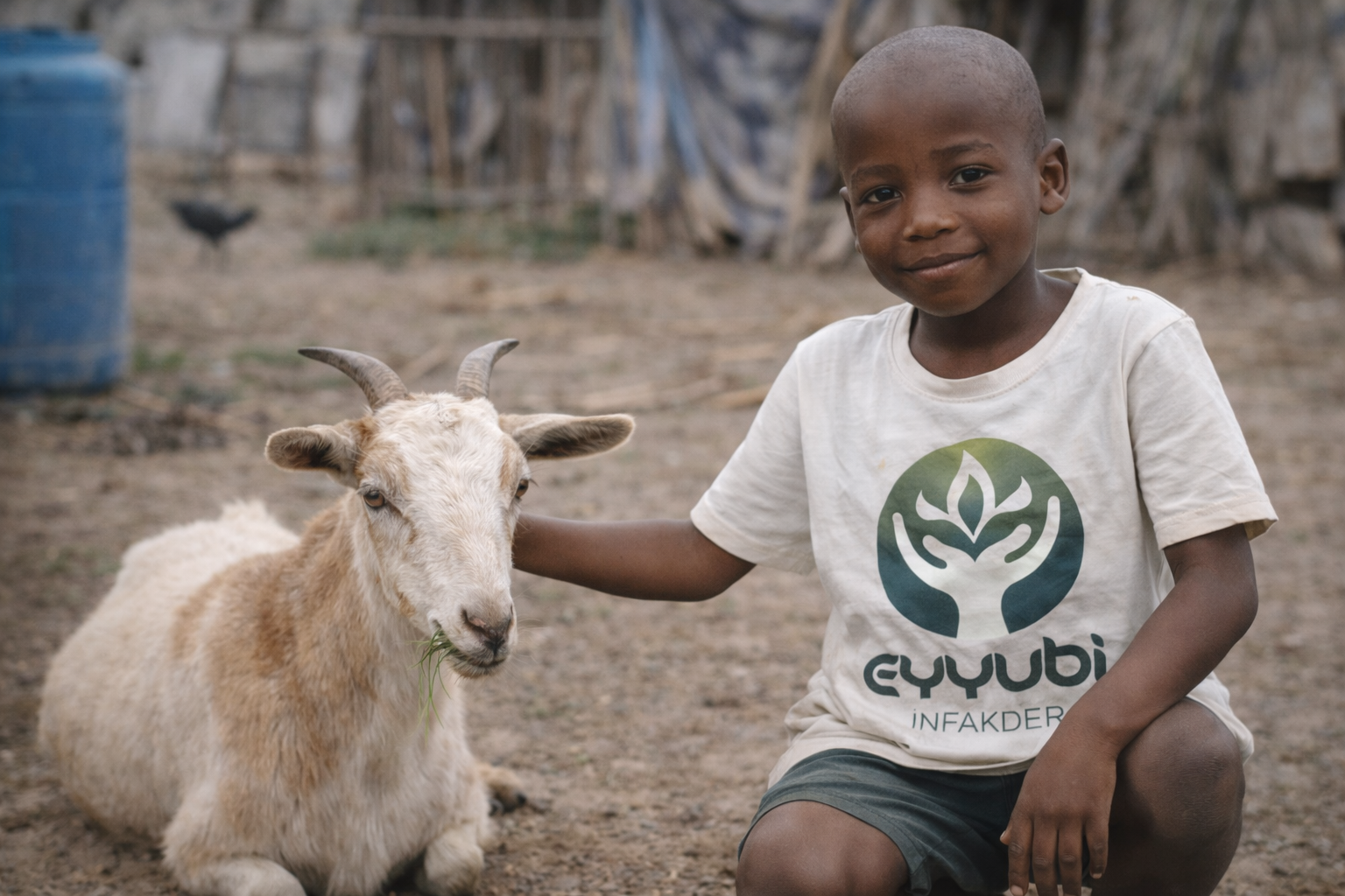 Afrika Küçükbaş Keçi